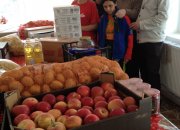 Fundatia Sf. Maria Singureni